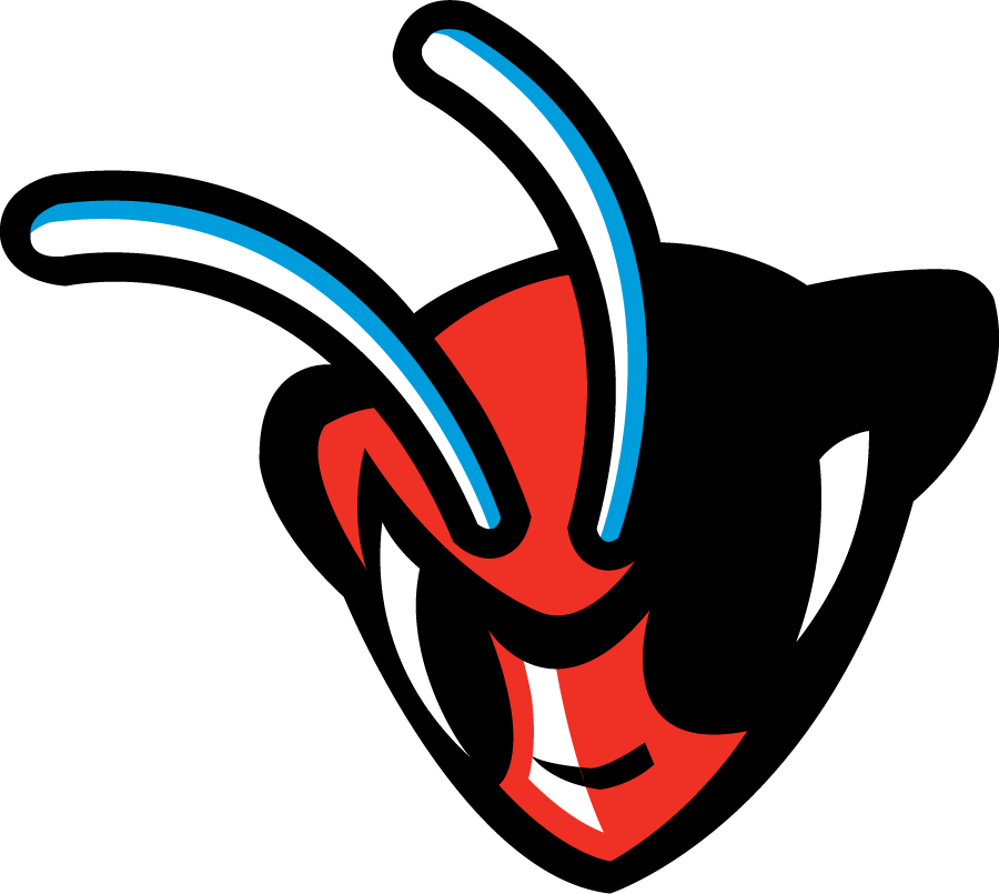 Delaware State Hornets 2010-Pres Secondary Logo diy iron on heat transfer